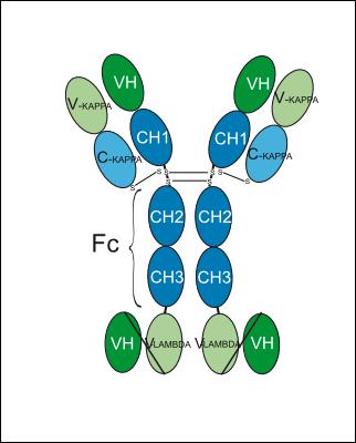 Experimental Validation Results for Tovecimig